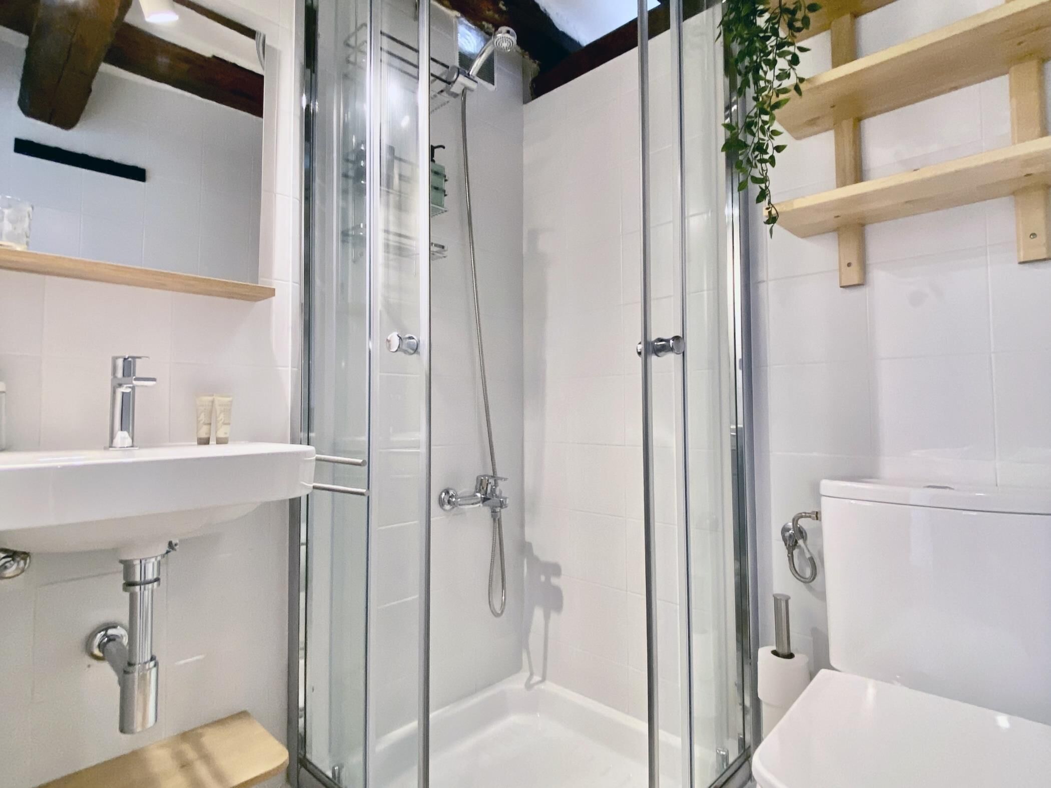 Regadera, amenidades de baño gratuitas, secadora de cabello, toallas 
