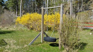 A swing set with a tire swing, surrounded by yellow flowering bushes and a grassy area with trees in the background. - 4 bedroom nice home in Trosa (Trosa)