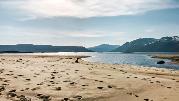 A beach with footprints leading to the water, a dog, and mountains in the background.