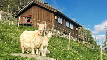 Unterkunftsgelände