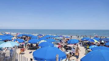 Beach nearby, sun loungers