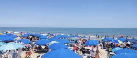 Vlak bij het strand, ligstoelen