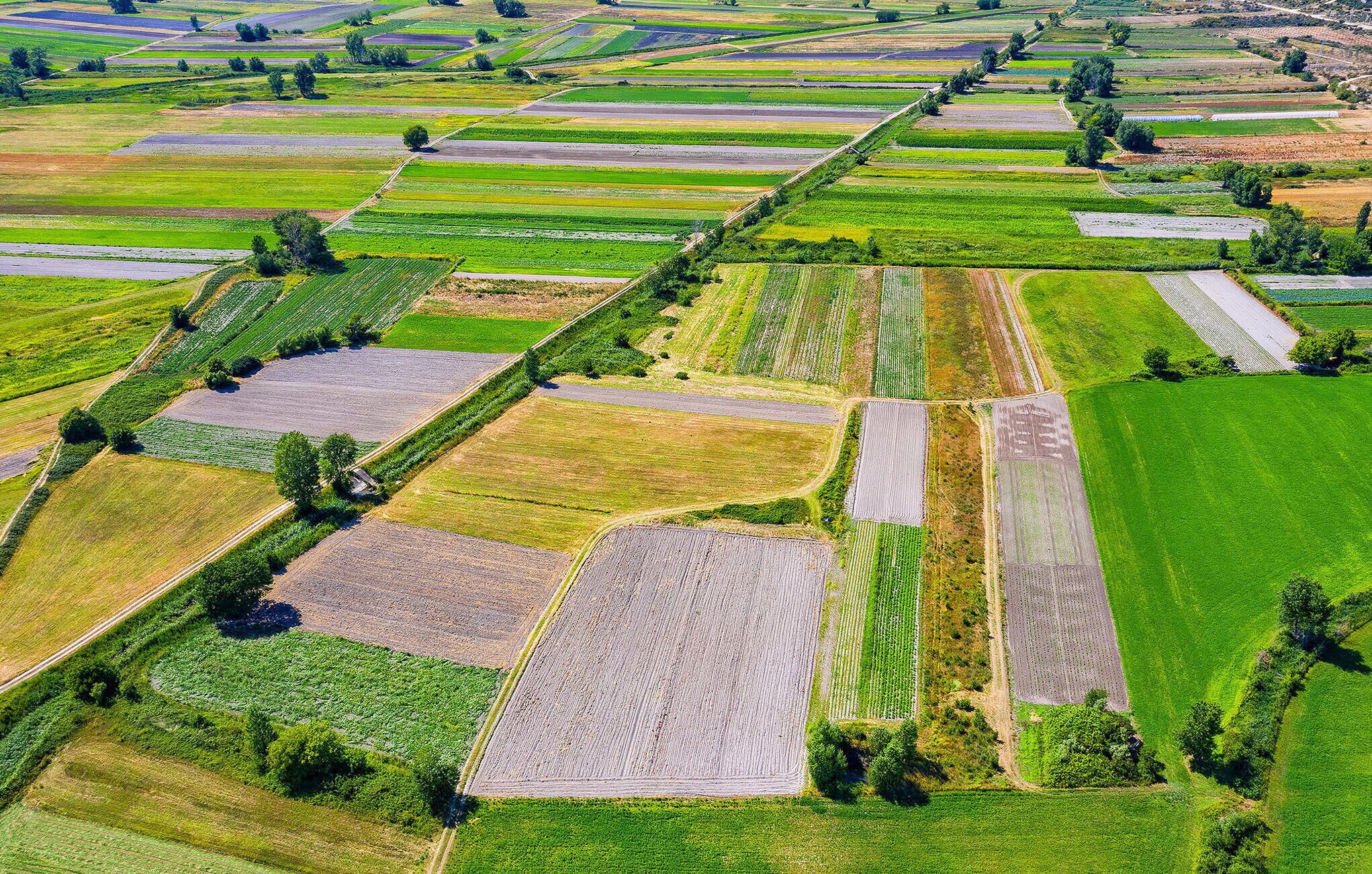 An aerial view of a large, organized agricultural area with distinct sections of crops and fields, separated by narrow paths or roads.