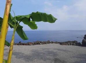 Una spiaggia nelle vicinanze