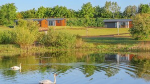 Un cadre paisible au bord d’un lac, avec deux cabanes en bois, un cygne et un canard nageant dans l’eau.