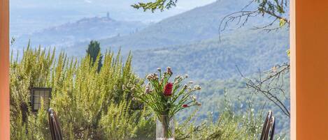 تناول الطعام بالخارج