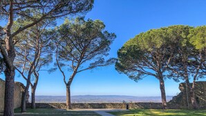 Camí que serpenteja per un parc amb arbres alts i una vista llunyana d'una ciutat.