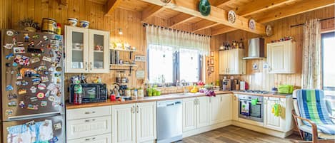 Fridge, stovetop, dishwasher