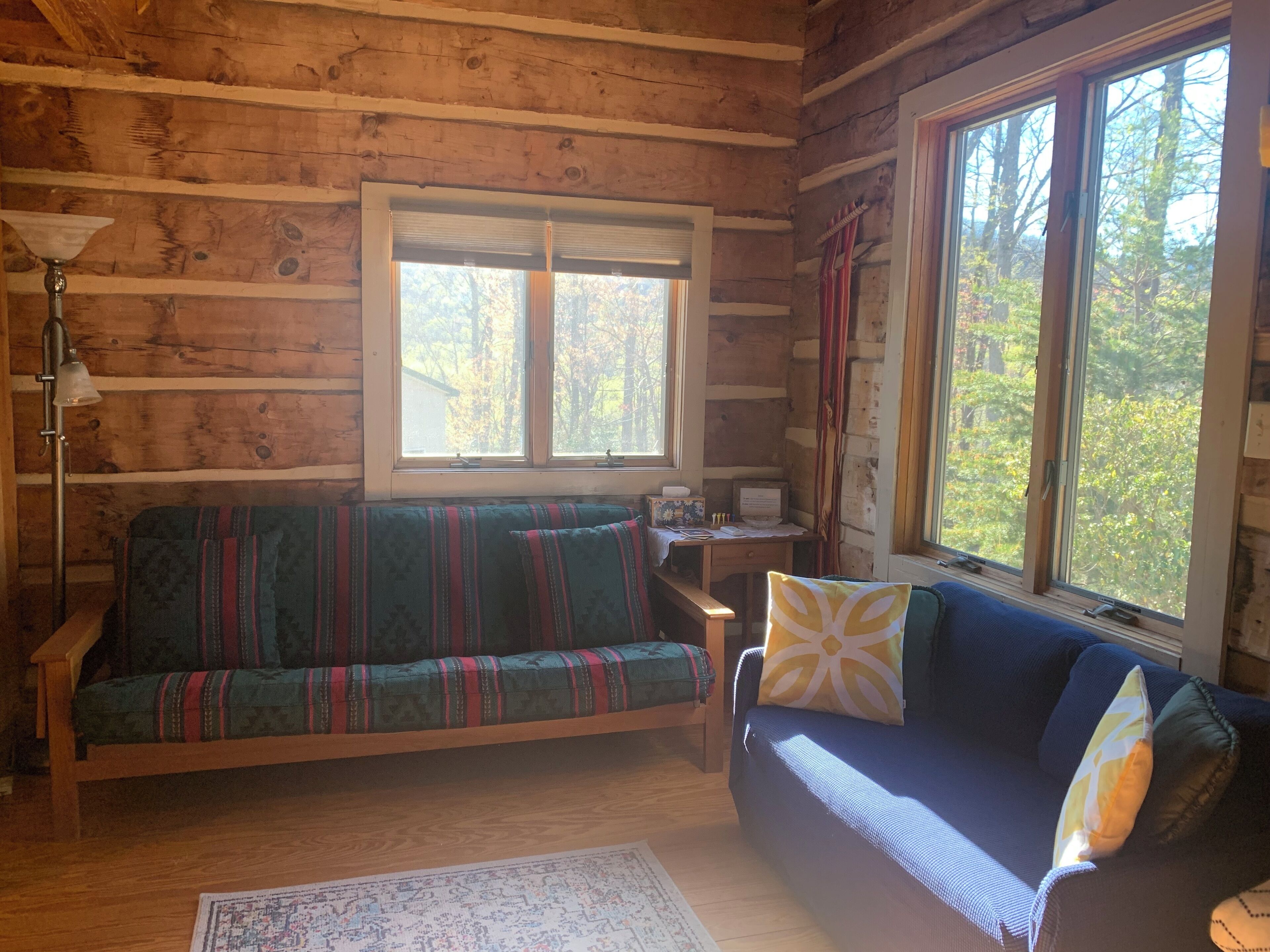 Smart TV, DVD player, books, music library