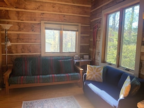 Smart TV, DVD player, books, music library