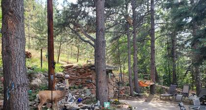 Cozy getaway at Poudre River (pet friendly)