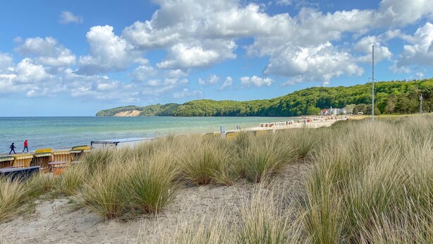 A beach with a wooden pier, grassy dunes, and a forested hill in the background. - 2 bedroom amazing apartment in Binz OT Prora (Binz OT Prora)