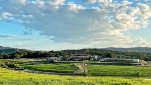 A large, open field with a building in the background. - Kur Cow Farmstay (Kuranda)