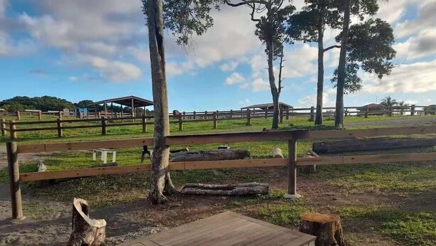 An outdoor area with a wooden bench, a fence, and trees. - Kur Cow Farmstay (Kuranda)