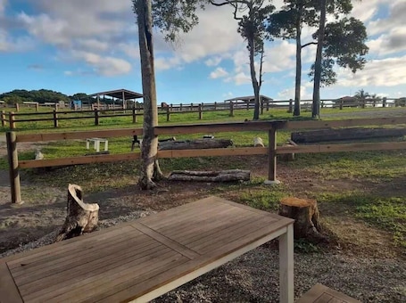 Property grounds. Kur Cow Farmstay