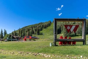 Children's area - Monthly Discount, Hot Tub & Sauna, Resort Access! (Durango)