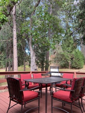 Outdoor dining - A peaceful refuge w/WiFi, central AC, deck & woods (Groveland)