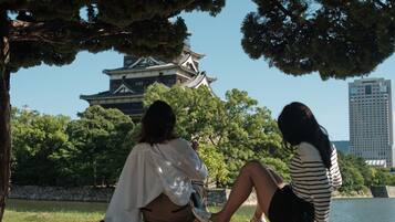 Pemandangan kota dari properti