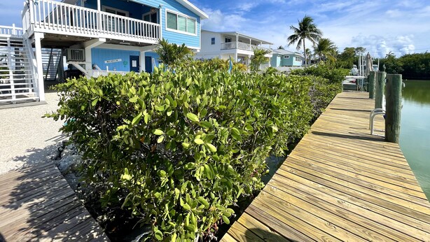 A coastal property with a wooden dock, a blue house with a balcony, and a clear sky. - Tropical Dream Vacation with 3 bdrm/2 baths, pool & dock - On Sombrero Beach Rd! (Marathon)