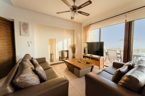 TV, fireplace, table tennis