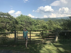 Área da propriedade