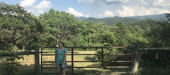 Private 3 bedroom, 2.5 bath home on 2 acres overlooking the Blue Ridge Mountains
