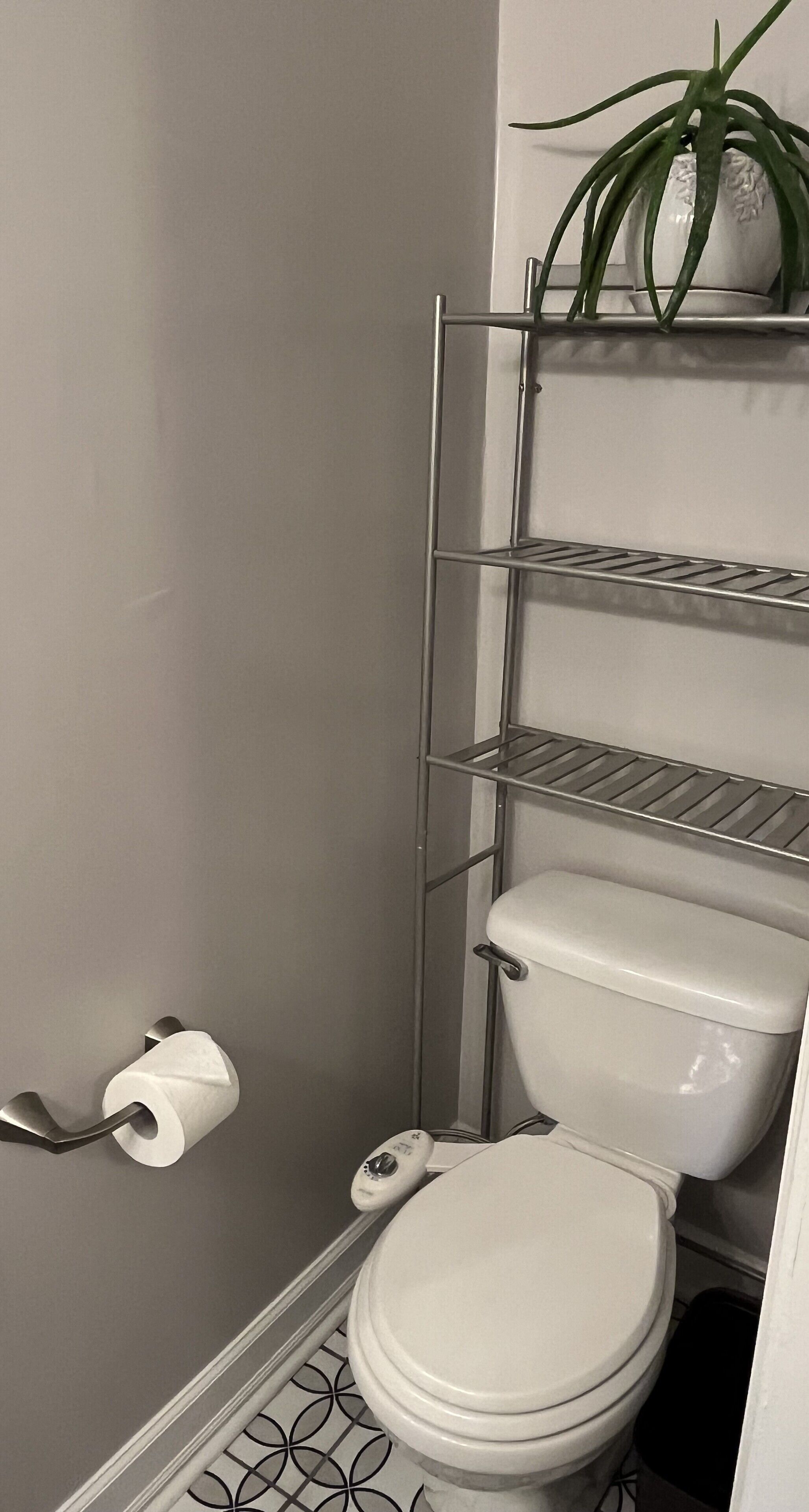 Combined shower/tub, hair dryer, bidet, towels