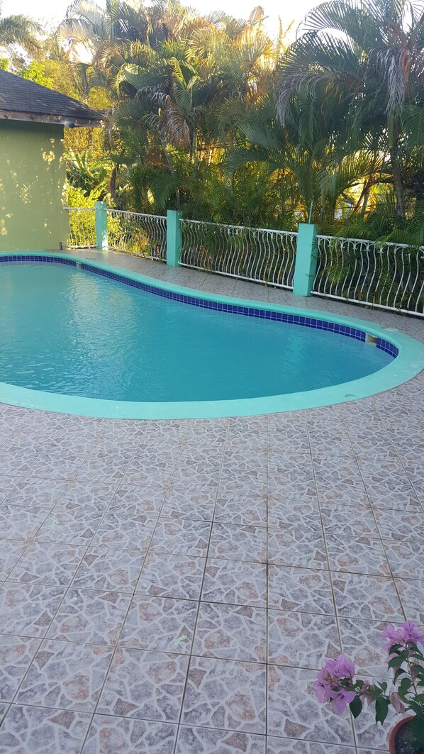 A swimming pool with a tiled deck, surrounded by a fence and lush greenery. - Seascape Apartment (Negril)