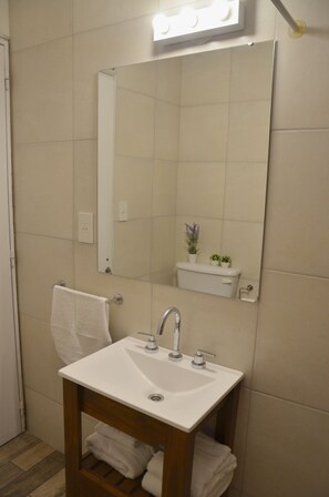 Shower, hair dryer, bidet, towels