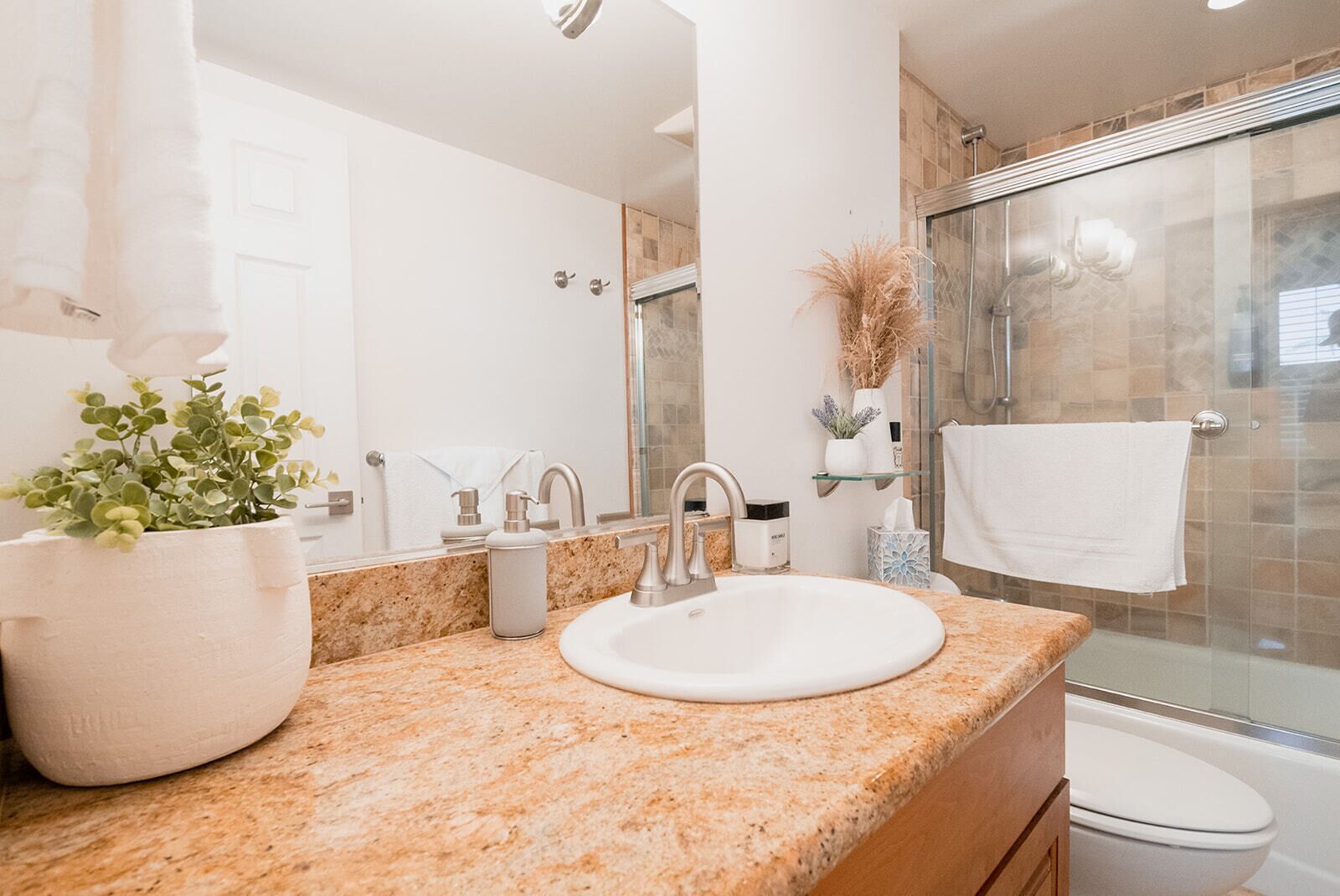 Combined shower/tub, hair dryer, towels, soap