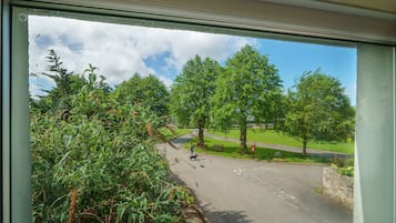 Guests can enjoy a serene view of the outdoor area from the comfort of their room.