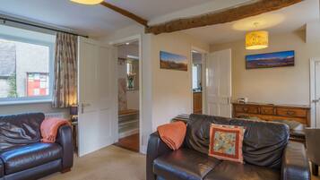 TV, fireplace, books