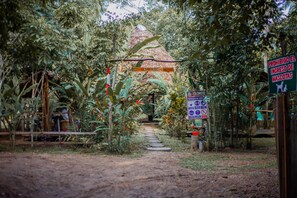 Property grounds - Tambopata Log (Puerto Maldonado)