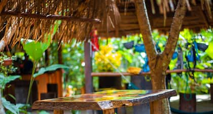 Tronco Tambopata