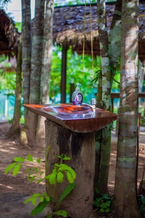 Property grounds - Tambopata Log (Puerto Maldonado)