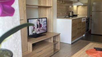 Fridge, oven, coffee/tea maker, electric kettle