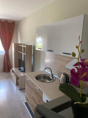 Fridge, oven, coffee/tea maker, electric kettle