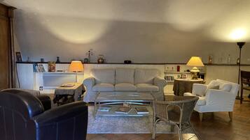 TV connectée, cheminée, lecteur de DVD, livres