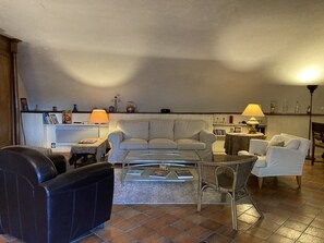 Smart TV, fireplace, DVD player, books