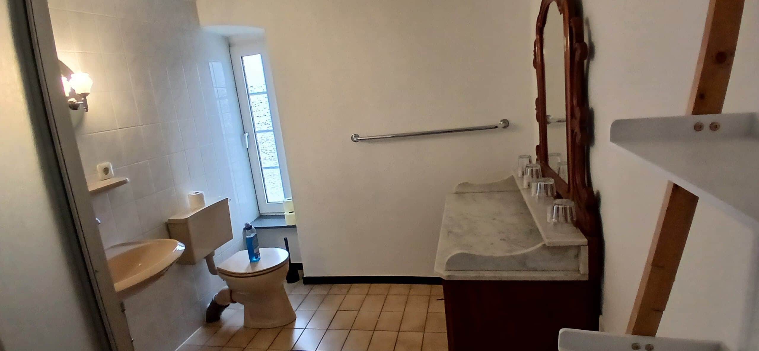 Une salle de bain avec des toilettes, un lavabo et un miroir.