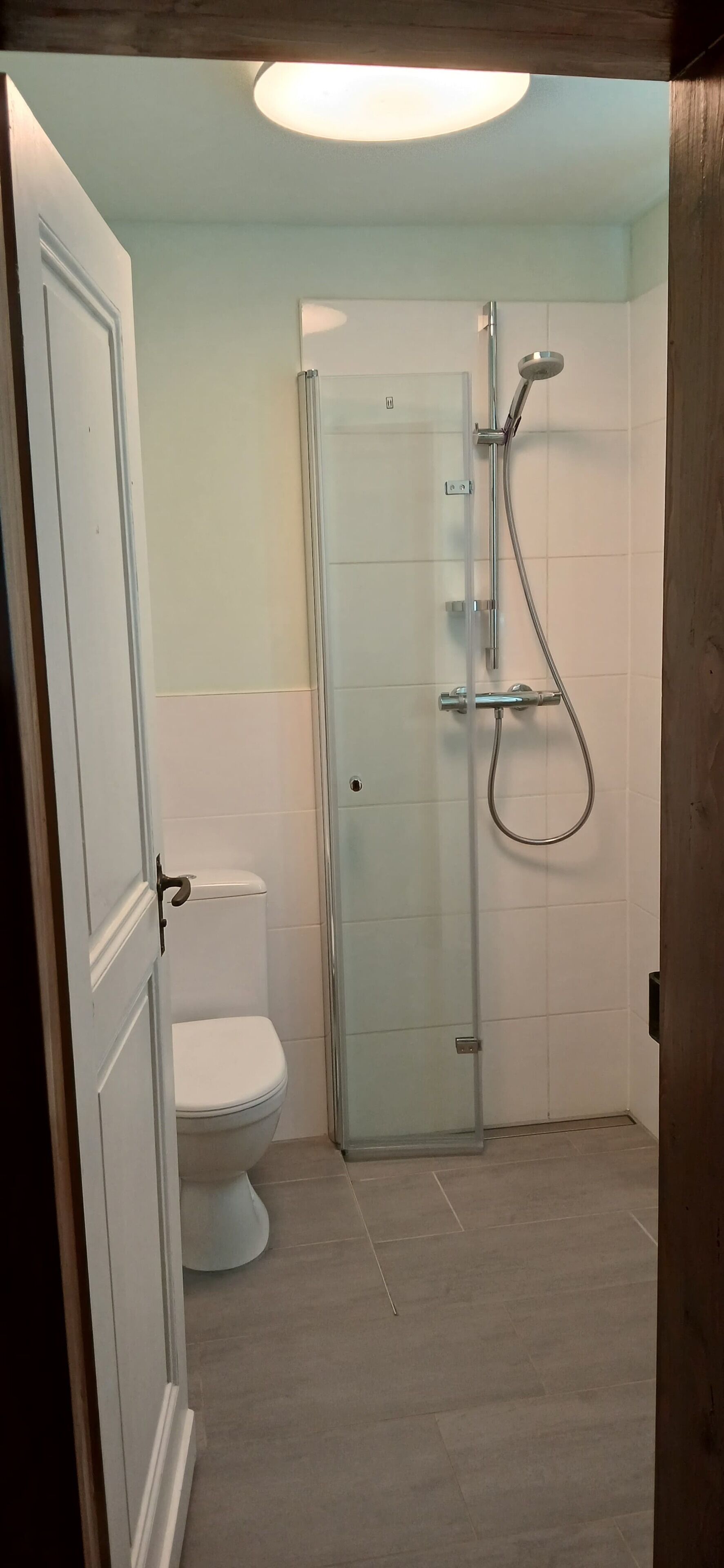 Une salle de bain avec des toilettes, une douche à parois de verre et une porte blanche.