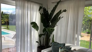 A living room with a large potted plant, a sofa with cushions, and a view of a swimming pool through sheer curtains. - Apartment (Pietrasanta)