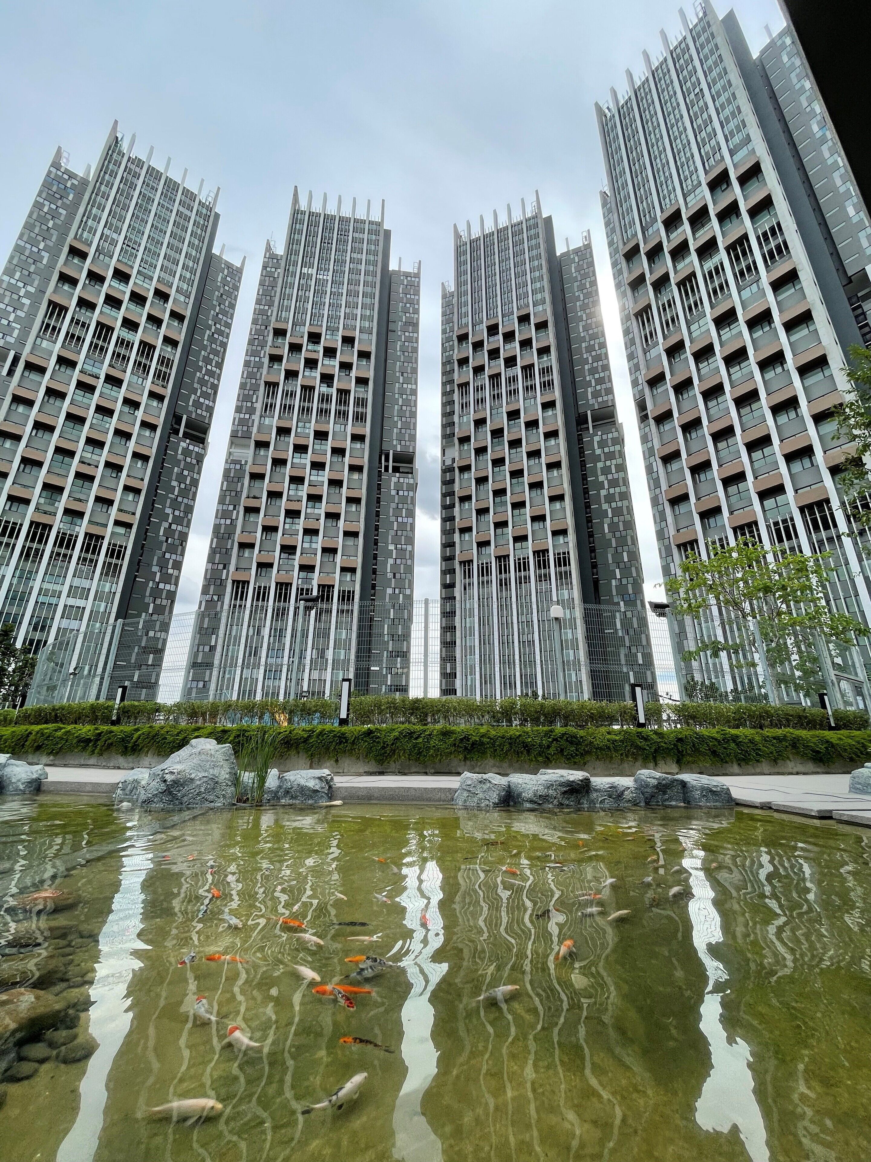 A modern high-rise building with a reflective glass facade and a koi pond in the foreground.