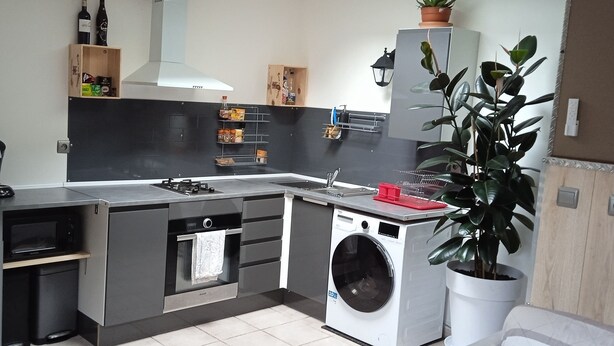 A modern kitchen with a built-in oven, microwave, and washing machine. There are wooden shelves with various items, a potted plant, and a hanging light fixture. - Apartment (NERAC)