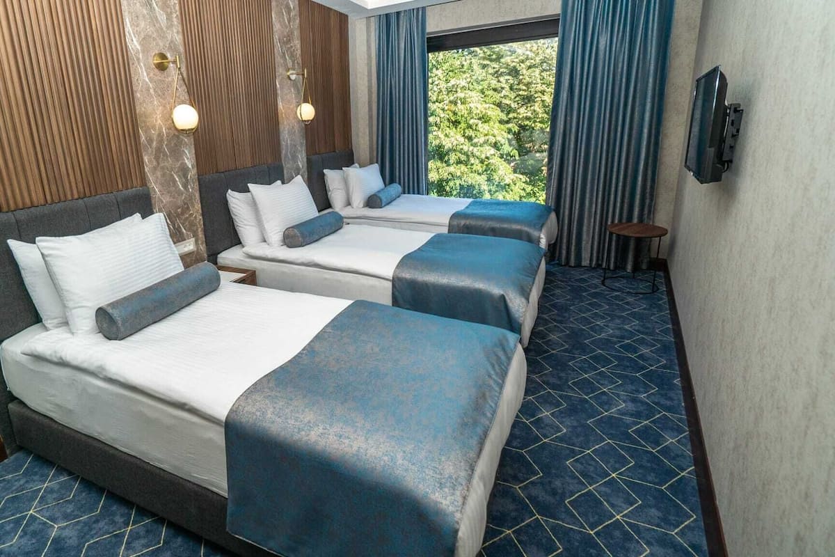 Sábanas de algodón egipcio, ropa de cama de alta calidad y minibar