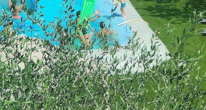 Maison de campagne vue mer, avec piscine ,nichée au milieu d'oliviers centenaire