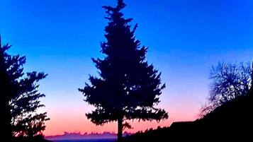 Siluetta di un conifero sullo sfondo del cielo crepuscolare.