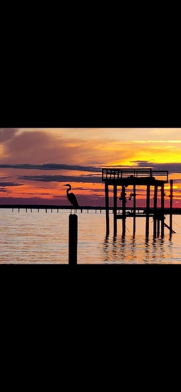 The blue heron at sunset, one of many majestic and graceful birds found here.