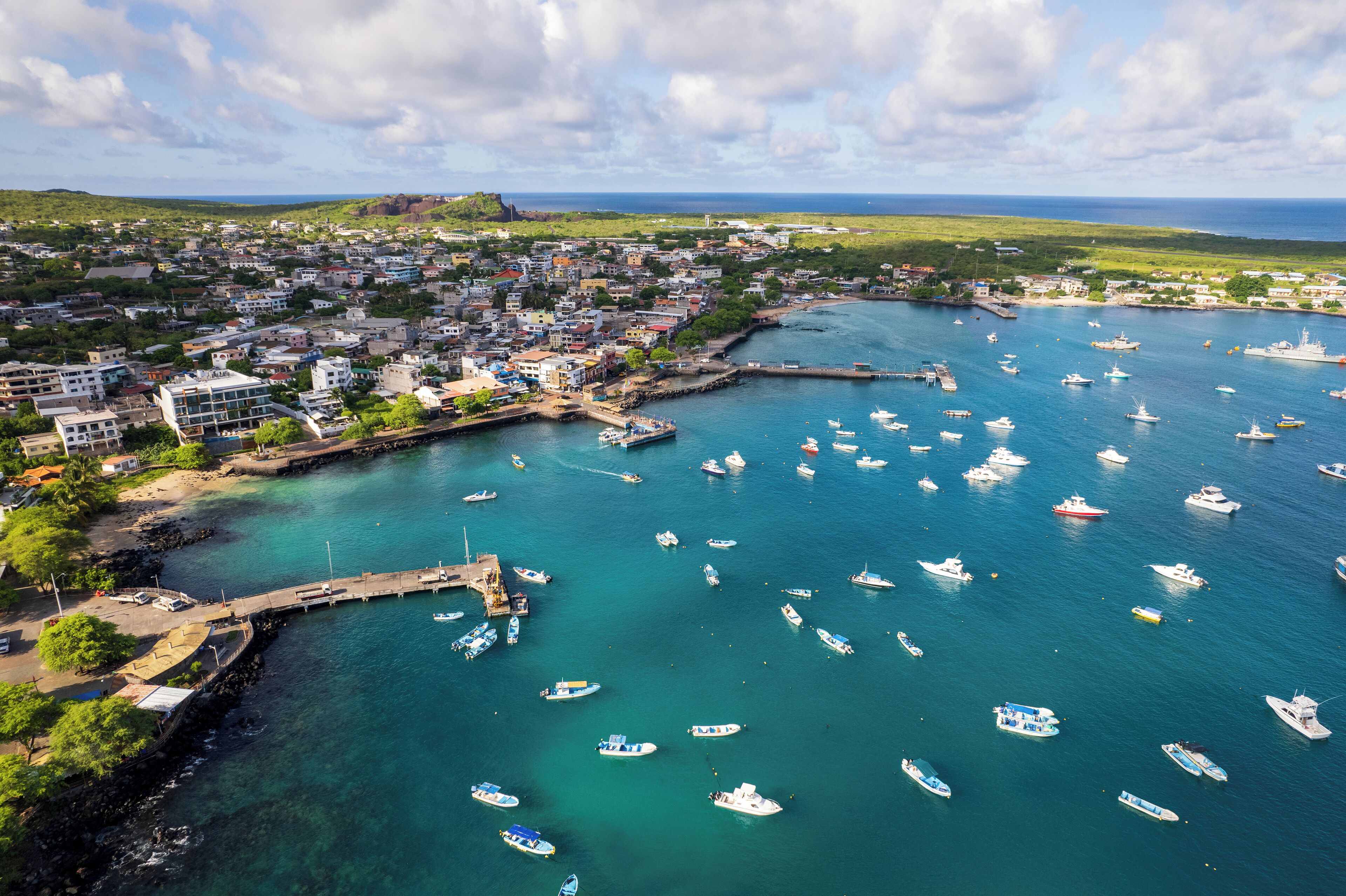 An aerial view of a coastal town with a marina filled with boats, surrounded by residential buildings and greenery.