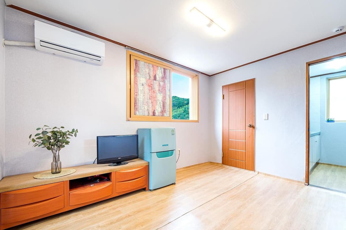 A room with a wooden floor, a TV on a wooden cabinet, an air conditioner, a painting on the wall, and a door.
